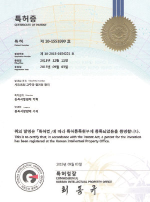 특허 증서 14